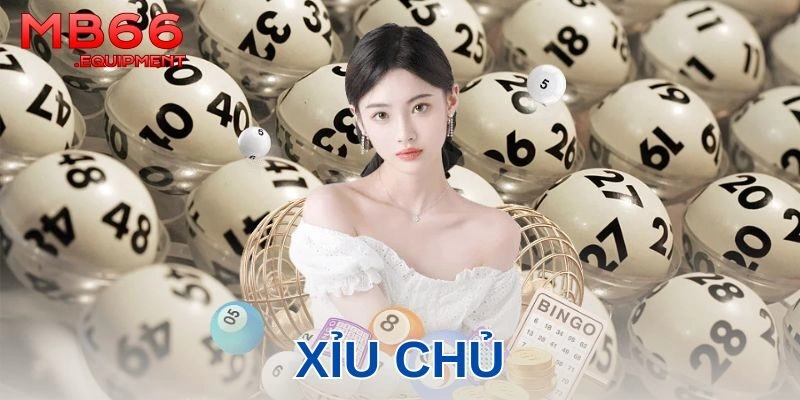 Cách chơi bắt đầu cho người mới