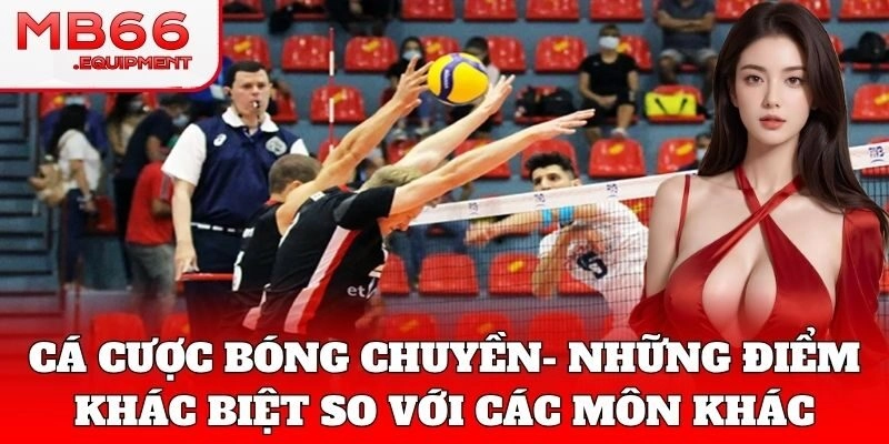 Cá Cược Bóng Chuyền kịch tính và ăn lời nhanh