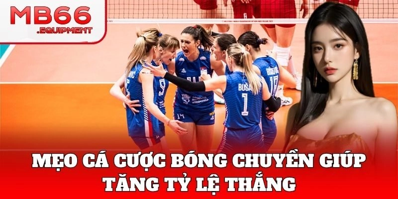 Mẹo chơi Cá Cược Bóng Chuyền tăng tỷ lệ thắng