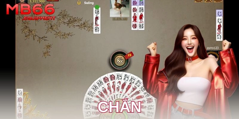 Giới thiệu tổng quan về chắn và những điểm nổi bật
